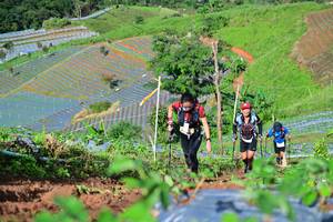 BIB: 
                            <button type="button" onclick="openModal(13380749)" class="btn btn-primary btn-sm float-right btn-popup" data-toggle="modal" data-target=".modal-high-quality">
                        <i class="fas fa-shopping-cart"></i> Add to Cart
                    </button>
                                            <button type="button" onclick="isThisMe(13380749, true)" class="btn btn-success btn-sm float-right btn-popup btn-isme hidden" data-toggle="tooltip" data-placement="bottom" title="นี่คือรูปของคุณใช่ไหม คลิกที่นี่เพื่อเอาเข้าอัลบั้ม">
                        <i class="fas fa-plus"></i> Add to album
                    </button>
                    <button type="button" onclick="isThisMe(13380749, false)" class="btn btn-warning btn-sm float-right btn-popup btn-isnotme hidden">
                        <i class="fas fa-ban"></i> Remove from album
                    </button>